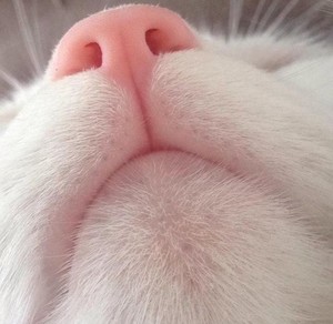 shaniadda178 profile image