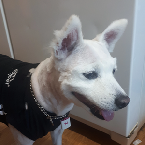 bgfhbvvdg profile image