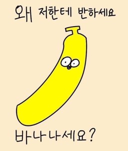 내가널사랑합니다 profile image