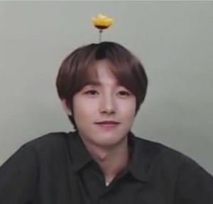 Tiniewoozi's profile image
