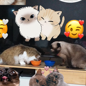 또잉시앙DS profile image