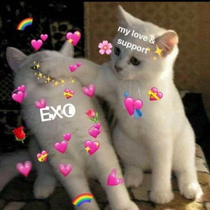 exobsession profile image