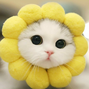 blackpanter8973 profile image