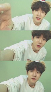 啵啵鱼 profile image