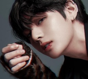 연탄뷔 profile image