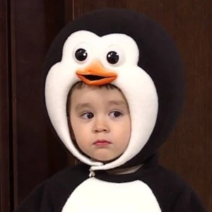 보끔밥 profile image