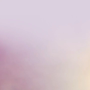 꽃길이 profile image