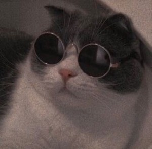 서공예3학년2반31번김냐옹 profile image