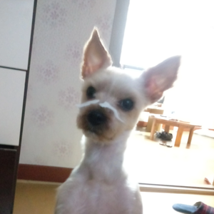 슬러쉬작가 profile image