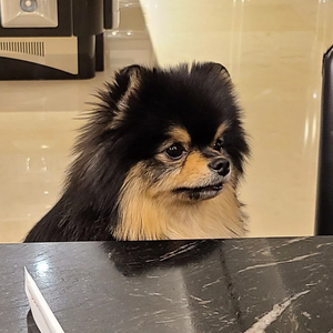 뉸누낭나 profile image