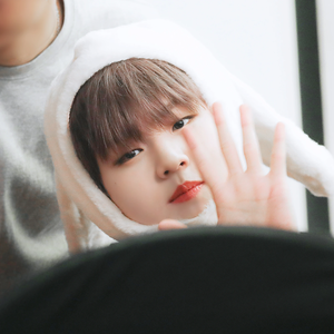 세상비율오져's profile image