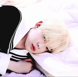 d080b32ff5d463ccc5ef316cda383103 profile image