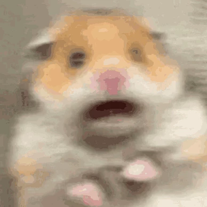 JIN지니 profile image