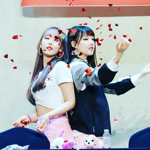 ʕッ•ᴥ•ʔッ profile image