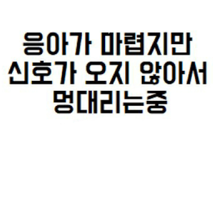 안작가 profile image