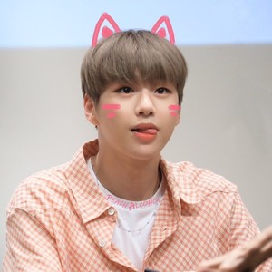 Danitypp profile image
