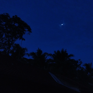 lindda16 profile image