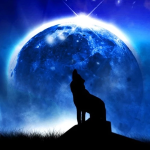 ba0c65e24c331bee0dc36ecfbe5c204f profile image