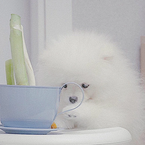 pingupinks profile image