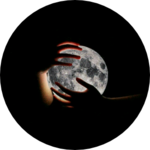 모두들알라뷰 profile image