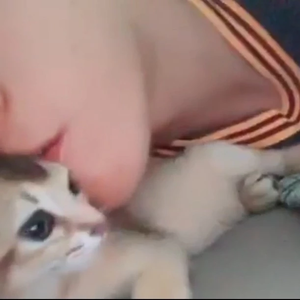 뽀사아기오리 profile image