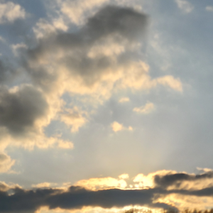 가연07 profile image