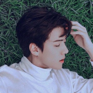 율란 profile image