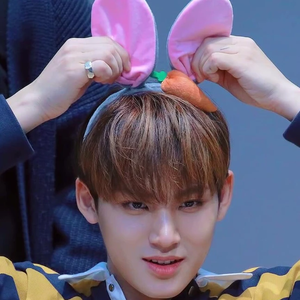 닫어가닫고열어가열어 profile image