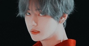 뷔설곤듀 profile image