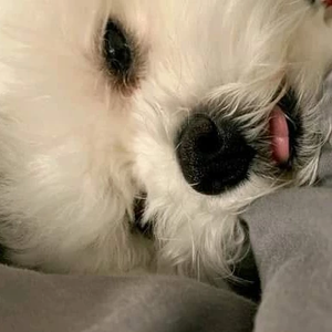 김밥풀 profile image