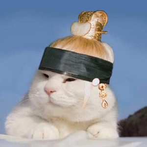 방탄이들콧대에서미끄럼틀타고시퍼 profile image