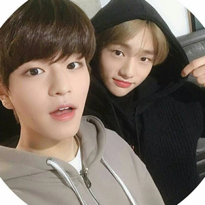 Alicehenay profile image