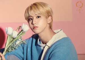 skz legends profile image