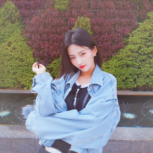 로얀 profile image