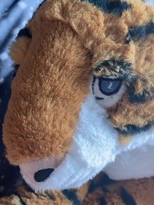 TianLei profile image