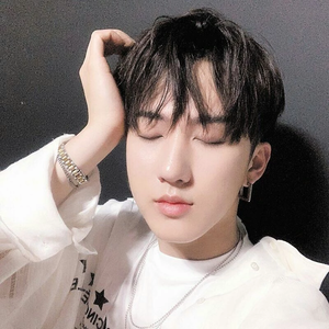 skzfanatka profile image