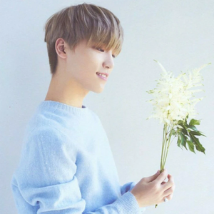 abcdino profile image