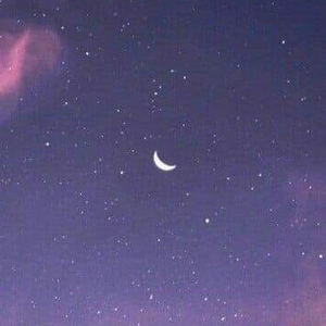 읍따고 profile image