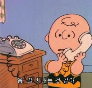 미룽지’s 표지공방 홍보매니저 프리다 profile image