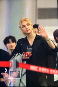 twinklelino profile image