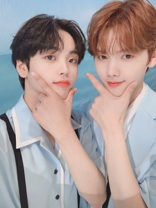 원잇동글단's profile image