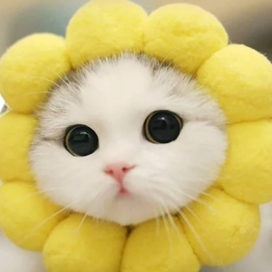 Unkani profile image