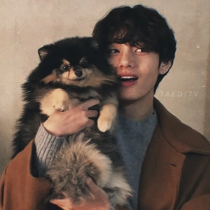 Taedipia profile image