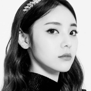 niqx's profile image