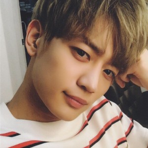 shineetw's profile image