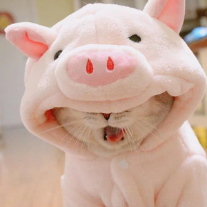 crvtworldd profile image