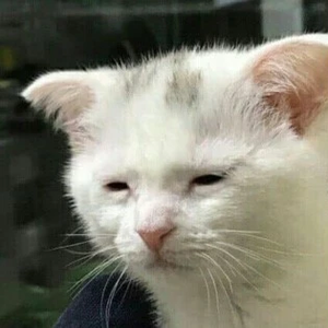 ㅈㅁㅅ profile image