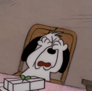 은류아 profile image