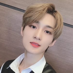 verrerminnie's profile image