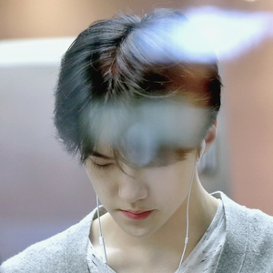 Errypenguin profile image